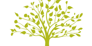 oliver-logo-tree